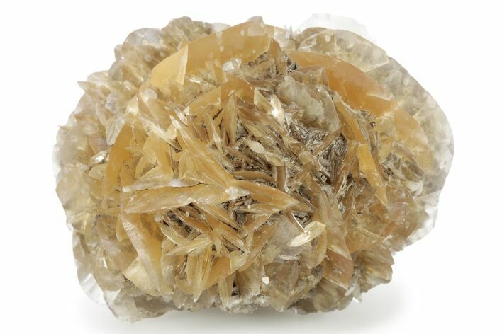 Twinned Selenite Crystals (Fluorescent) - Red River Floodway #242621